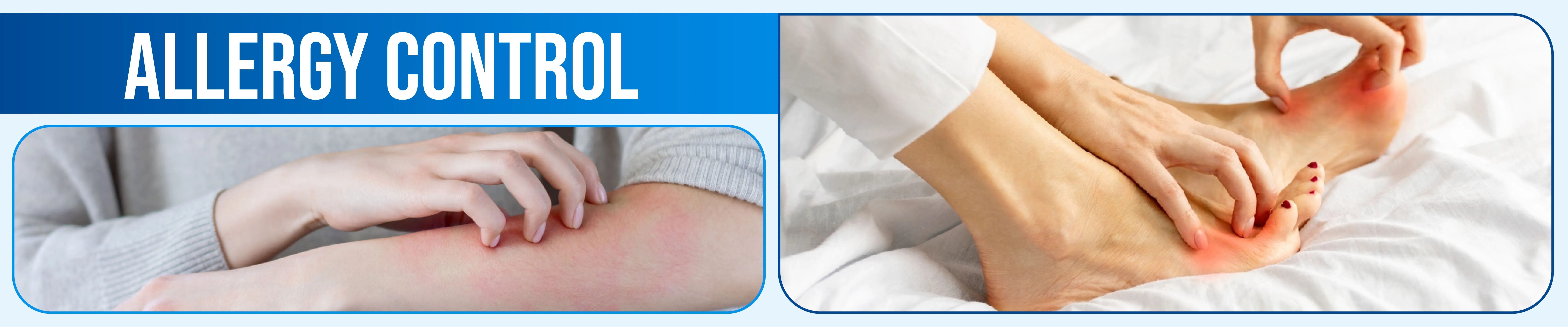 carpet cleaning in Nassau, carpet cleaner in Nassau, carpet cleaners in Nassau, carpet cleaners in Nassau, drapery cleaners in Nassau, carpet cleaning in Nassau, mattress cleaning in Nassau, mattress cleaners in Nassau, commercial carpet cleaning,commercial carpet cleaners in Nassau , Nassau rug cleaners, rug cleaning services in Nassau same day carpet cleaning, same day rug cleaning