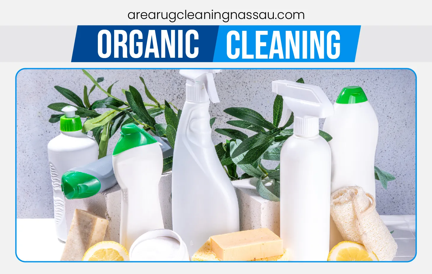 carpet cleaning in Nassau, carpet cleaner in Nassau, carpet cleaners in Nassau, carpet cleaners in Nassau, drapery cleaners in Nassau, carpet cleaning in Nassau, mattress cleaning in Nassau, mattress cleaners in Nassau, commercial carpet cleaning,commercial carpet cleaners in Nassau , Nassau rug cleaners, rug cleaning services in Nassau same day carpet cleaning, same day rug cleaning